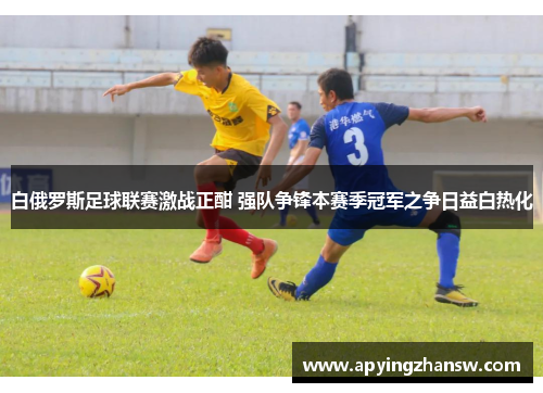 白俄罗斯足球联赛激战正酣 强队争锋本赛季冠军之争日益白热化